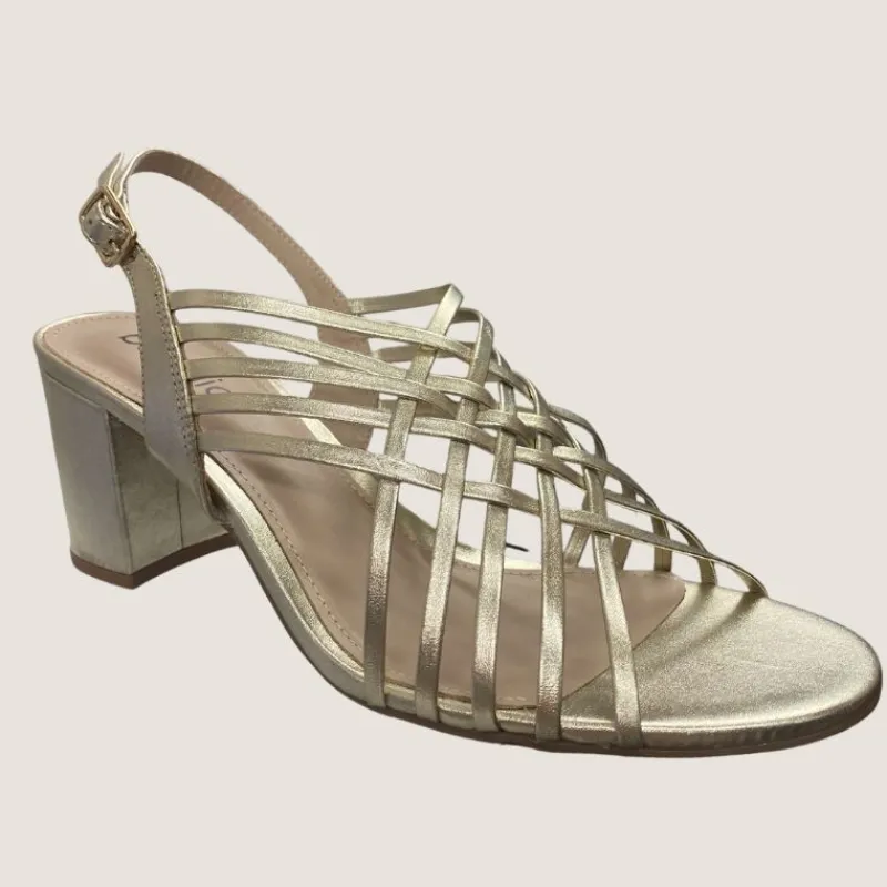 Sadie Heel | Brazilio Hot
