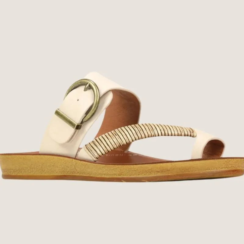 Bria Slide | Los Cabos Outlet