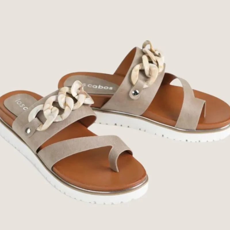 Cai Slide | Los Cabos New