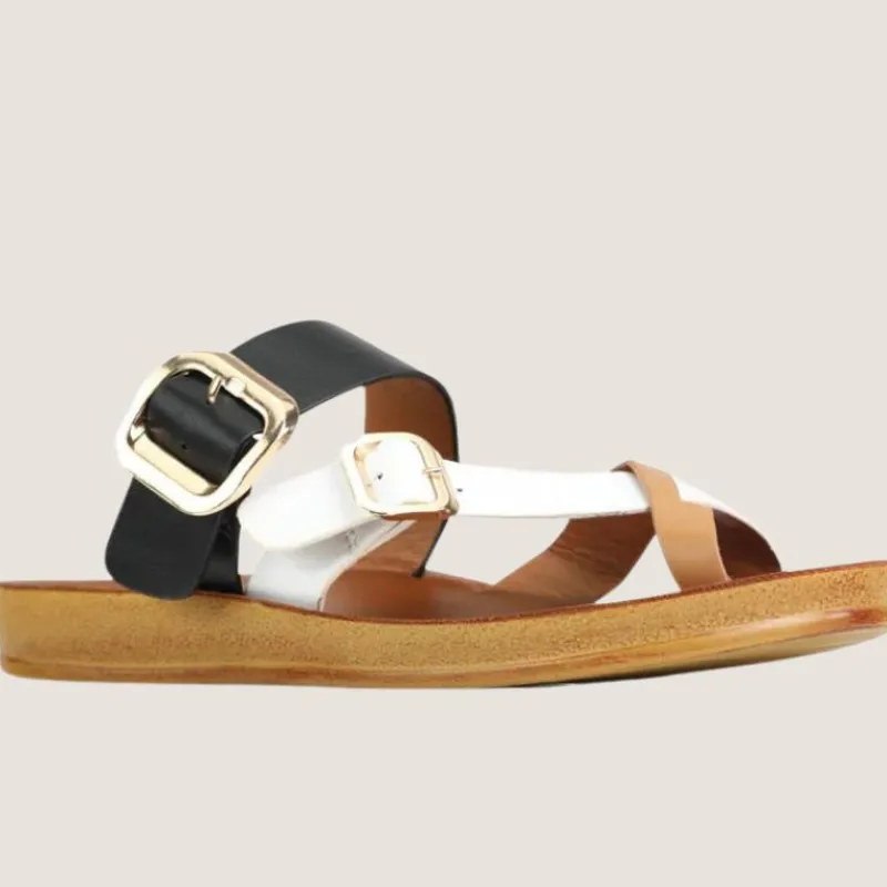 Dany Slide | Los Cabos New