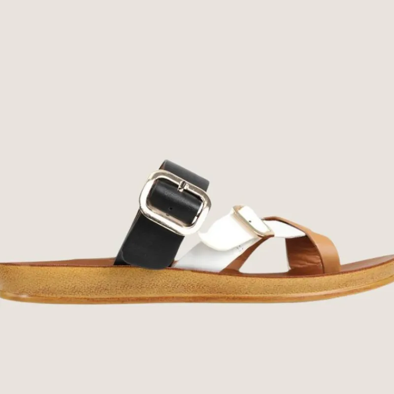 Dany Slide | Los Cabos New