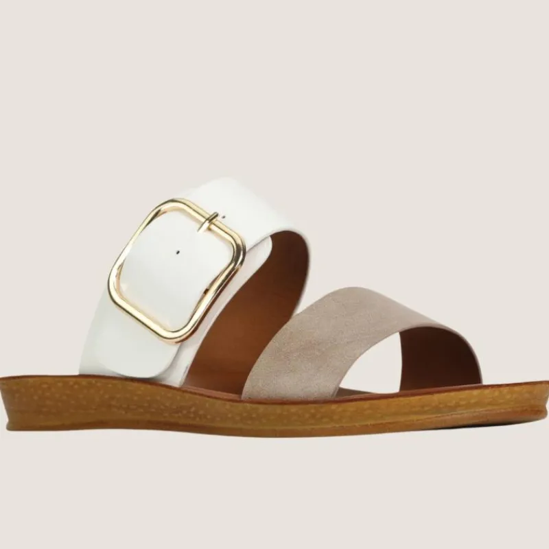 Doti Slide | Los Cabos Clearance
