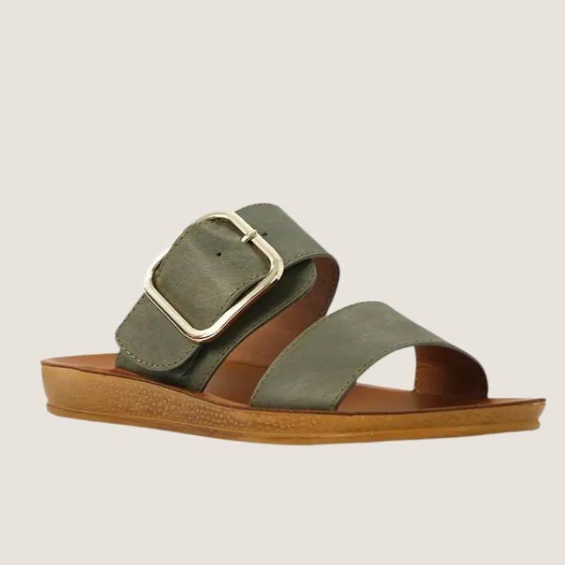 Doti Slide | Los Cabos Online