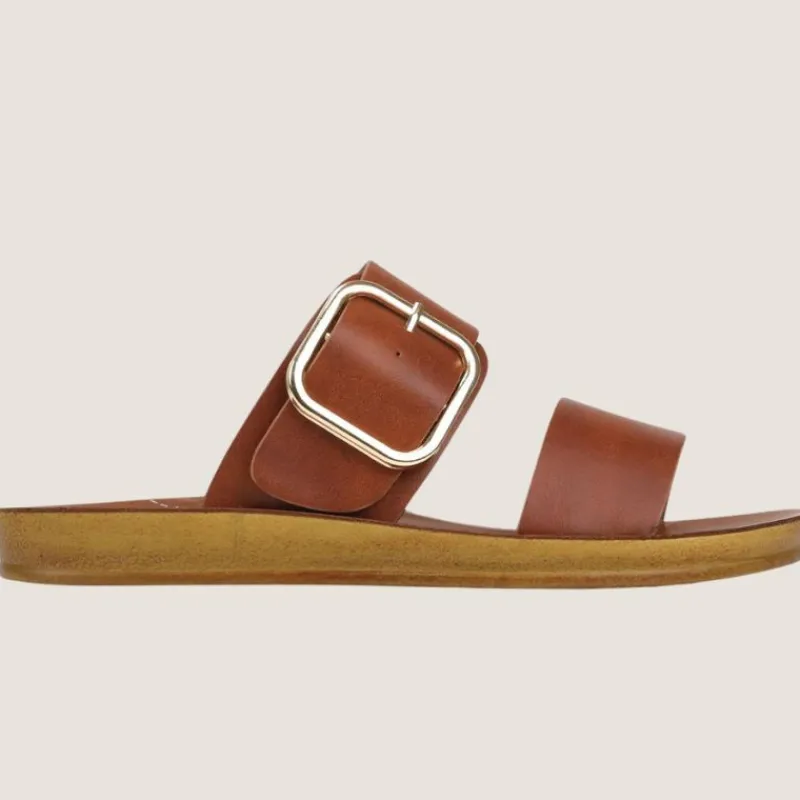 Doti Slide | Los Cabos New