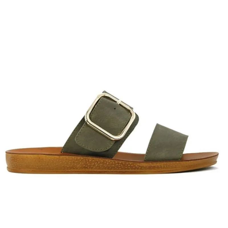 Doti Slide | Los Cabos Online