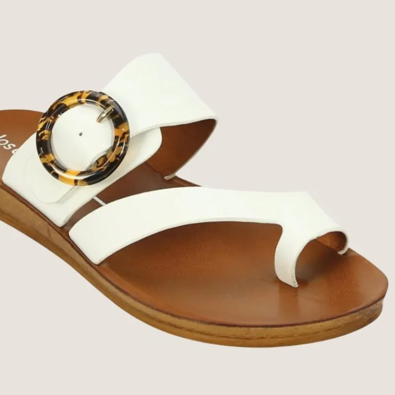 Dotsie Slide | Los Cabos Sale
