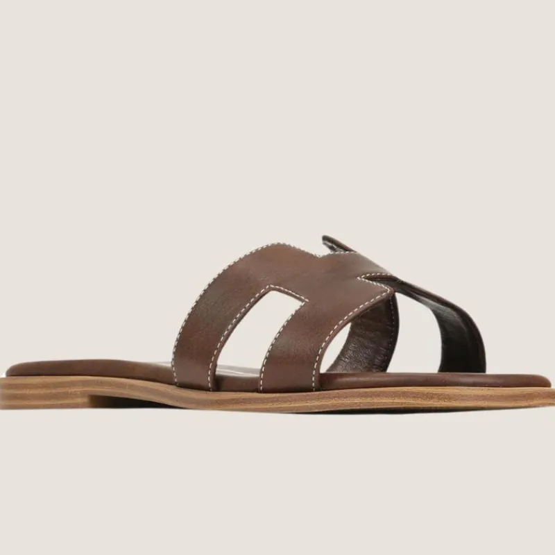 Hacette Slide | Los Cabos Hot