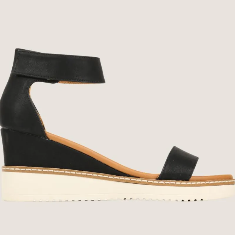 Tweet Wedge | Los Cabos Hot